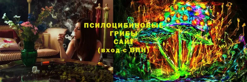 Галлюциногенные грибы Psilocybine cubensis  где купить наркоту  Фролово 